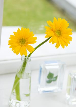 インテリアコーディネートの相談を東京で