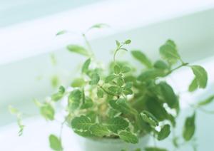 大阪でオフィスの雰囲気を一新させる施工