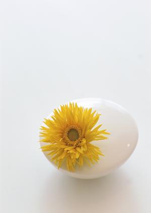 和風家具を購入したいのであれば