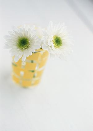 名古屋で最高強度の防犯フィルム